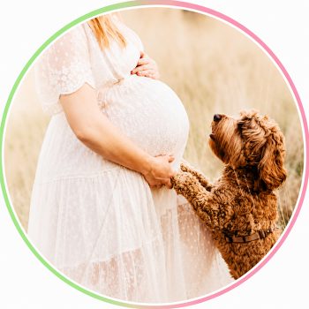 Webinar De “Zwangere Voet” verzorging